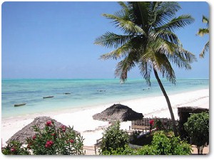 1.cena - Zanzibar